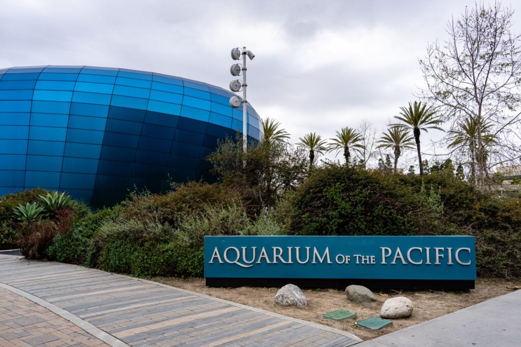 The Aquarium of the Pacific is Southern California's largest Aquarium. Credit Rosemarie Mosteller - stock.adobe.com.