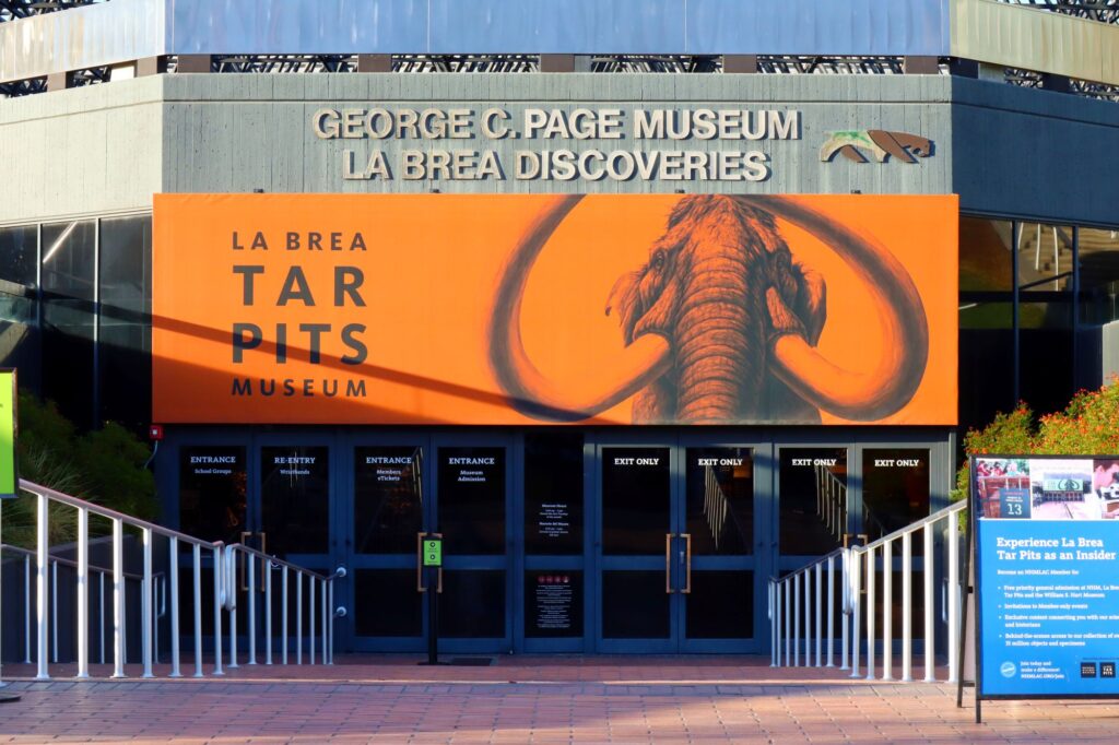 LA BREA TAR PITS and Museum, one of the world's most famous fossil excavation sites located at 5801 Wilshire Blvd, Los Angeles by Walter Cicchetti.